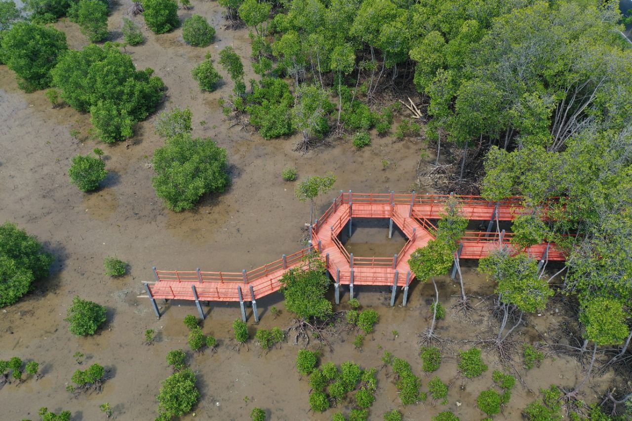 podiumnews.com-KKP Segera Bangun Empat Pusat Restorasi dan Pengembangan Ekosistem Pesisir